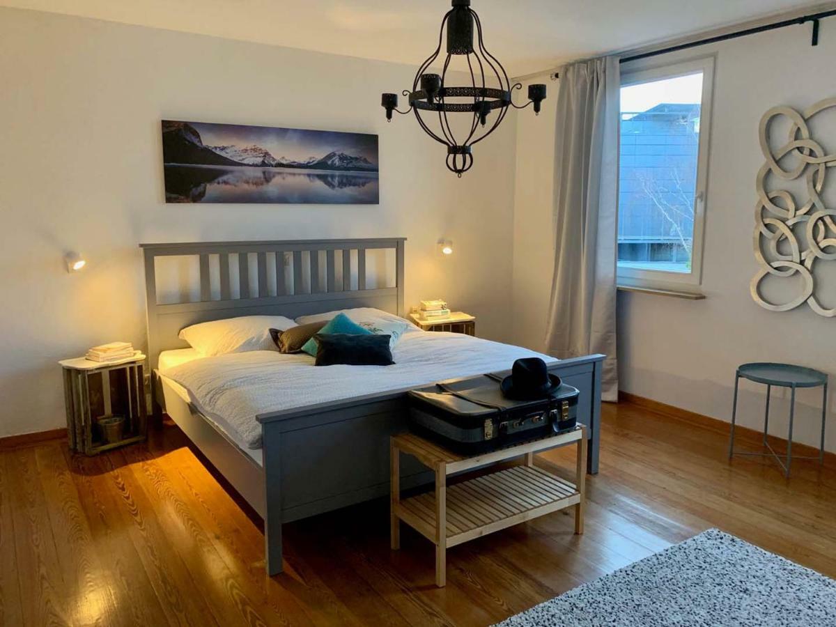 Deluxe Business City Apartments Metzingen Villa Landenberger Kültér fotó